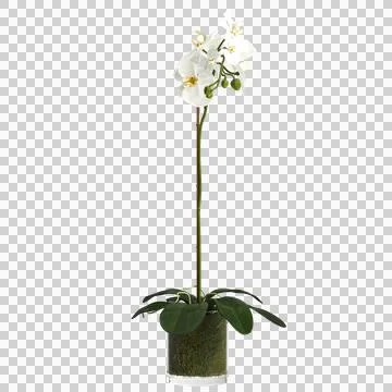 3d illustration of flower vase decoration in interior, isolated transparent Illustrazione stock