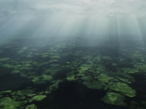 3D illustration of forest and fields Stock Illustration