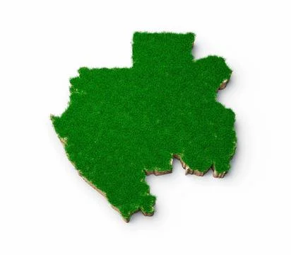 3d illustration of a Gabon map with green grass and rock ground texture 库存插图