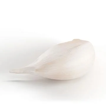 3D illustration of a garlic on a white background Stock Illustration
