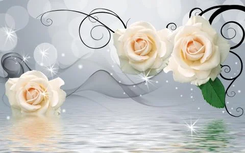 3d illustration, gray background, large beige roses, reflection in water Stock Illustration