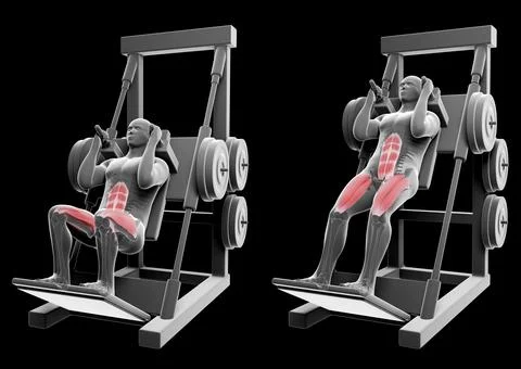 3d Illustration of Hack Squat Stock Illustration