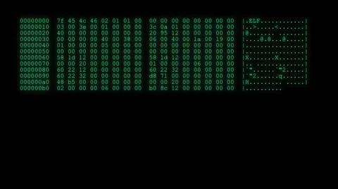 3d illustration - Hacker code running down a computer screen terminal . Stock Illustration