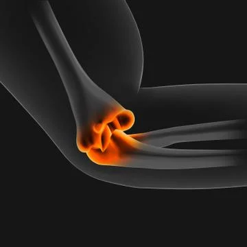 3D Illustration hand human skeleton medical concept Illustrazione stock