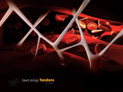 3d Illustration of heart strings Tendons, inside the human heart Stock Illustration