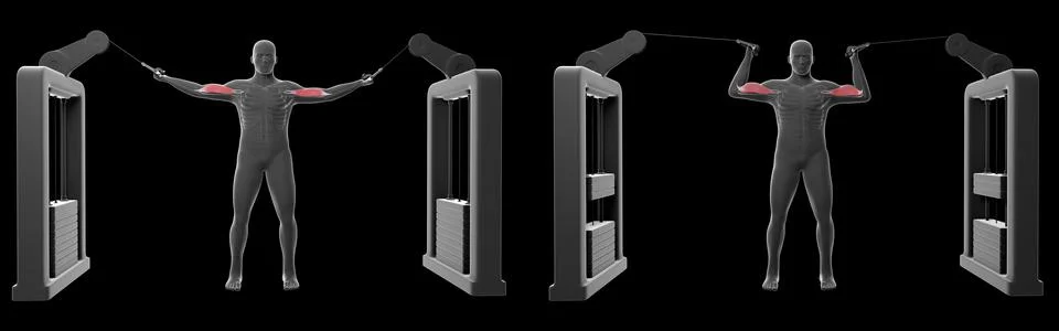 3D Illustration of High Cable Curl Ilustración de archivo