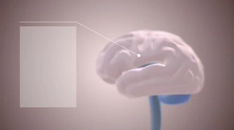 3d illustration of human brain on light background. Stock Illustration
