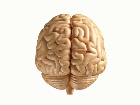3d illustration of human brain made of wood Stock Illustration