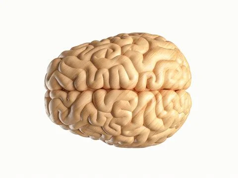 3d illustration of human brain made of wood Stock Illustration