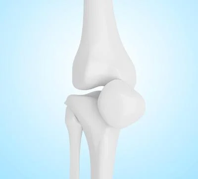 3d illustration of human knee bones Illustrazione stock