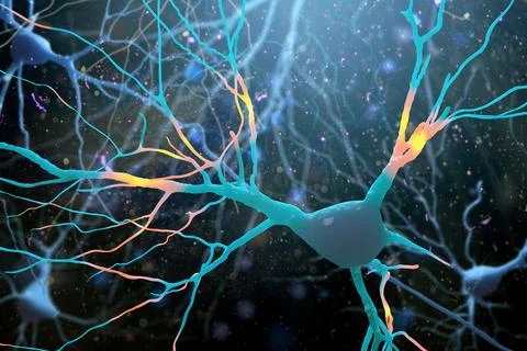3D Illustration of human nerve cells structure. Stock Illustration