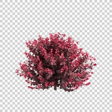 3d illustration of isolated on transparent background Stock Illustration