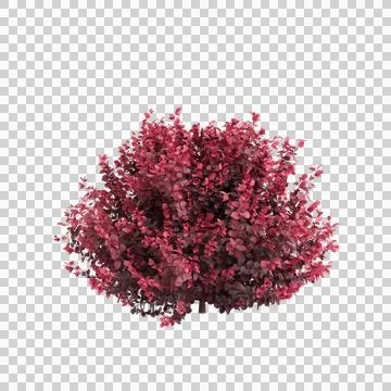 3d illustration of isolated on transparent background Ilustración de archivo