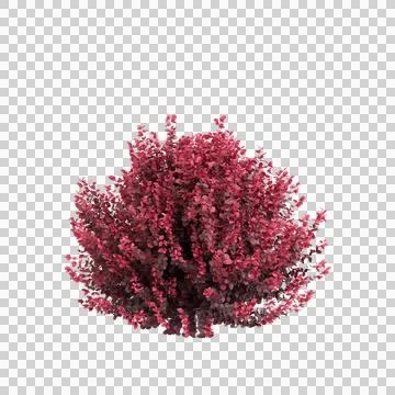 3d illustration of isolated on transparent background Stock Illustration