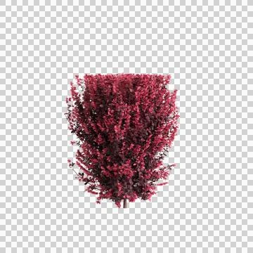 3d illustration of isolated on transparent background Ilustración de archivo