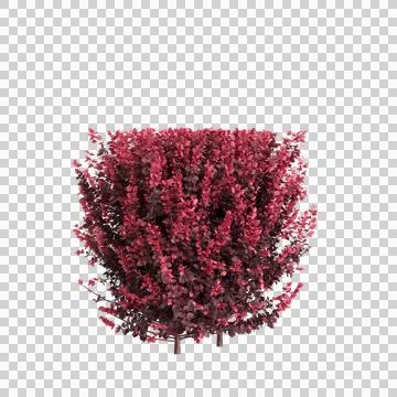 3d illustration of isolated on transparent background Stock Illustration