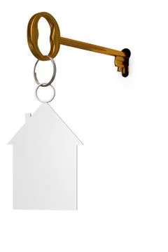 3d illustration key to open the door Stock Illustration