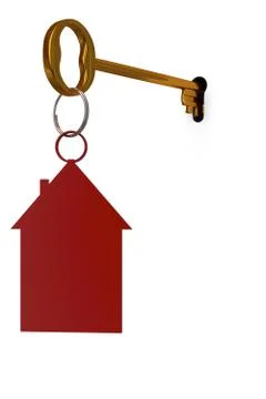 3d illustration key to open the door Stock Illustration
