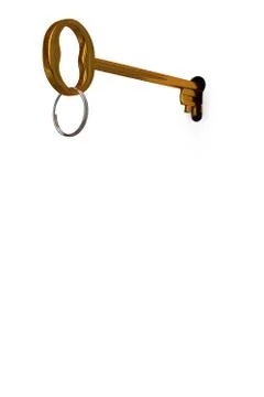 3d illustration key to open the door Stock Illustration