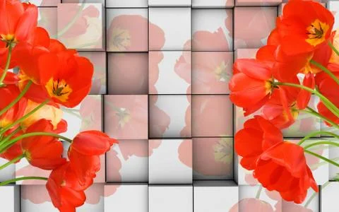3d illustration, light background, cubes, red tulips Illustrazione stock