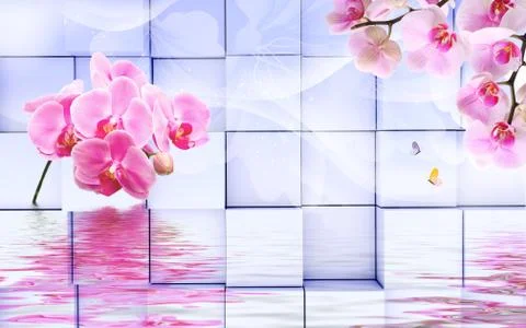 3d illustration, light background, cubes, pink orchids, reflection in water Stock Illustration