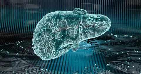 3d illustration  low-poly frame of a digital liver  with the effect of digit 스톡 일러스트