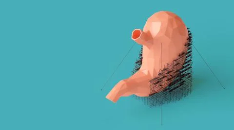 3d illustration of low poly human stomach repair concept Stock Illustration