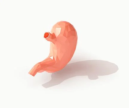 3d illustration of low-poly human organ stomach isolated on white Stock Illustration
