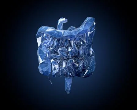 3d illustration of low poly human intestine Stock-Illustration