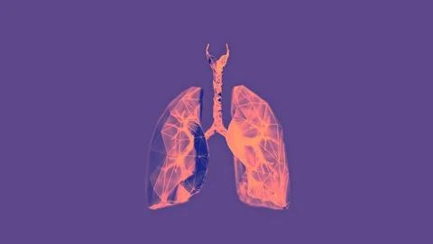 3d illustration of low poly human lungs in x-ray like style Stock Illustration
