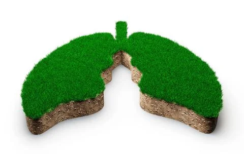 3d illustration of a lungs shape made of green grass and Rock ground texture cro 库存插图