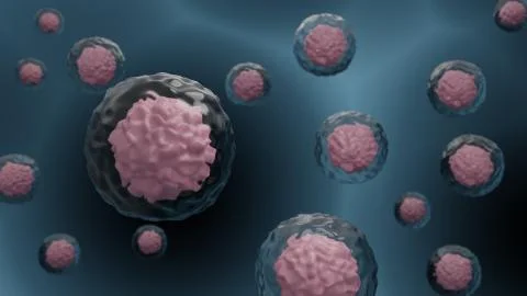 3D illustration of a microscopic view of many stem cells which shows the nucl Stock Illustration