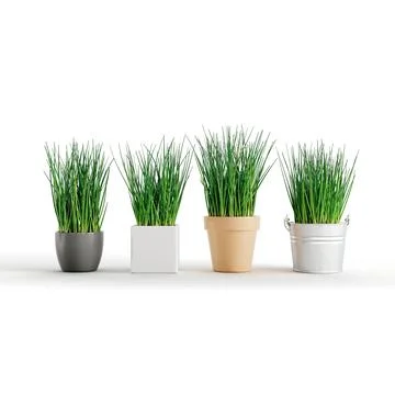 3d illustration of multiple plant pots isolated on a white background 스톡 일러스트