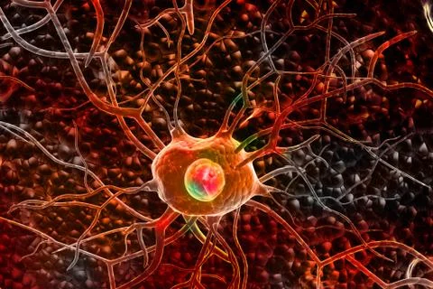 3d illustration of Nerve cells Stock Illustration