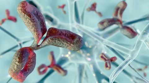 A 3D illustration of neuron and Y-shaped antibodies Stock Illustration