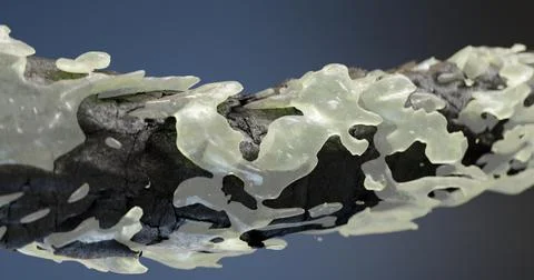 3D illustration of the obstructed texture of dark hair with sulfates, sebum, Stock-Illustration