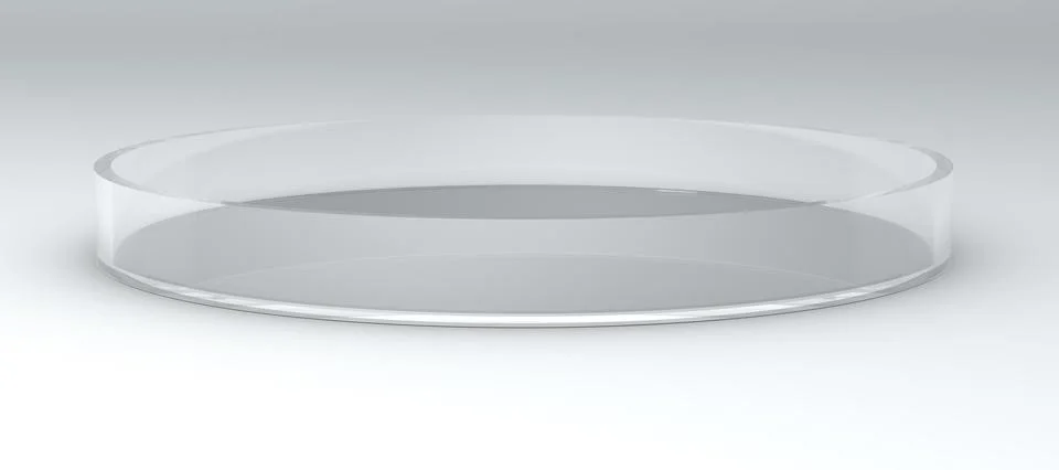 3D illustration Petri Dish Empty big clear close up laboratory glassware with Stock Illustration