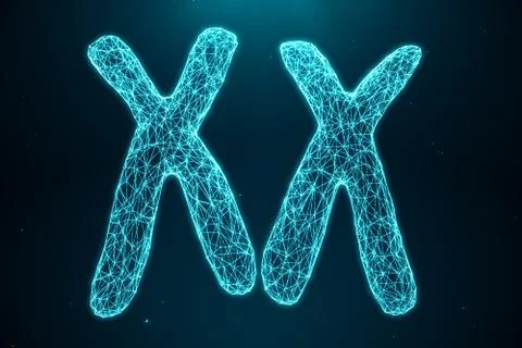 3D Illustration Polygonal Low poly Digital Artificial XX-Chromosomes Consisting Stock Illustration