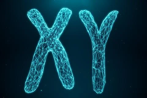 3D Illustration Polygonal Low poly Digital Artificial XY-Chromosomes Consisting Stock Illustration