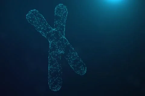 3D Illustration Polygonal Low poly Digital Artificial X-Chromosomes Consisting Stock Illustration