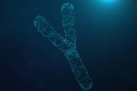 3D Illustration Polygonal Low poly Digital Artificial Y-Chromosomes Consisting Stock-Illustration
