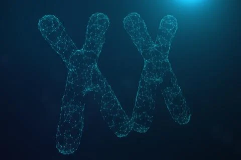 3D Illustration Polygonal Low poly Digital Artificial XX-Chromosomes Consisting イラスト素材