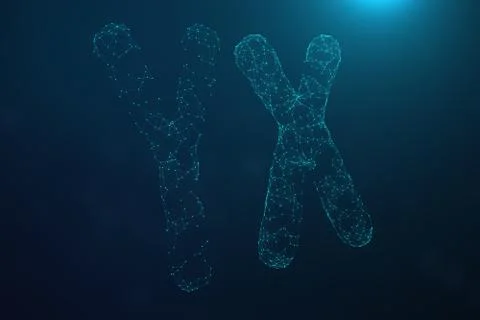 3D Illustration Polygonal Low poly Digital Artificial XY-Chromosomes Consisting Stock Illustration