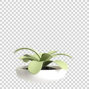 3d illustration of potted plant in interior space, isolated on transparent Illustrazione stock