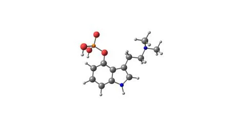 3D illustration of Psilocybin molecular structure isolated on white Stock Illustration