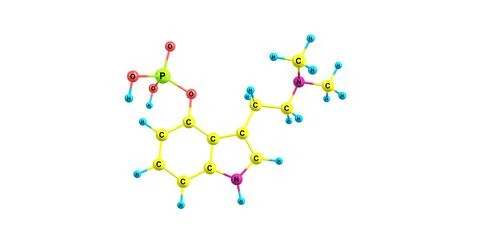 3D illustration of Psilocybin molecular structure isolated on white Stock Illustration