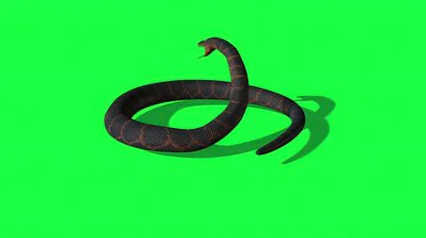 3d illustration - Python Snake With Green Screen Background Stock Illustration