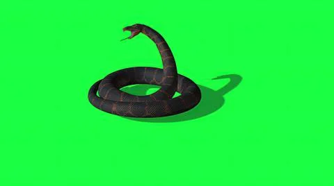 3d illustration - Python Snake With Green Screen Background Stock-Illustration