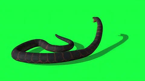 3d illustration - Python Snake With Green Screen Background Stock-Illustration