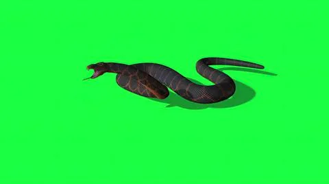 3d illustration - Python Snake With Green Screen Background Stock Illustration